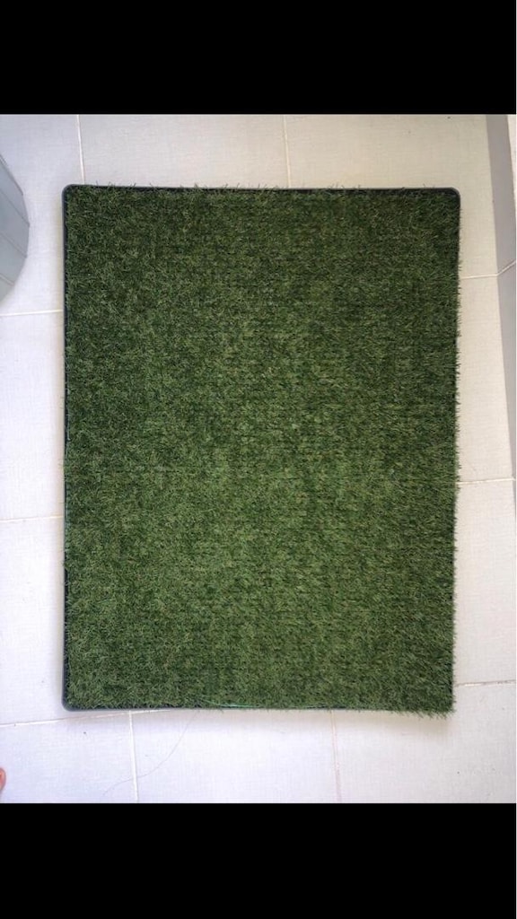 GREENPEE YIKABİLİR HAZNELİ ÇİM TUVALET - 3