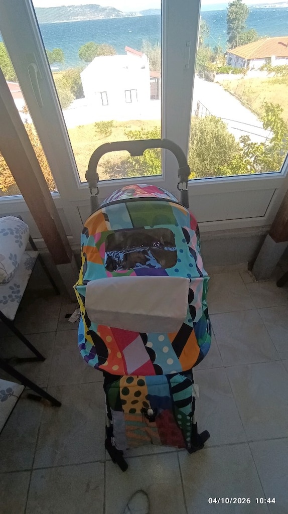 baston bebe Arabası - 6