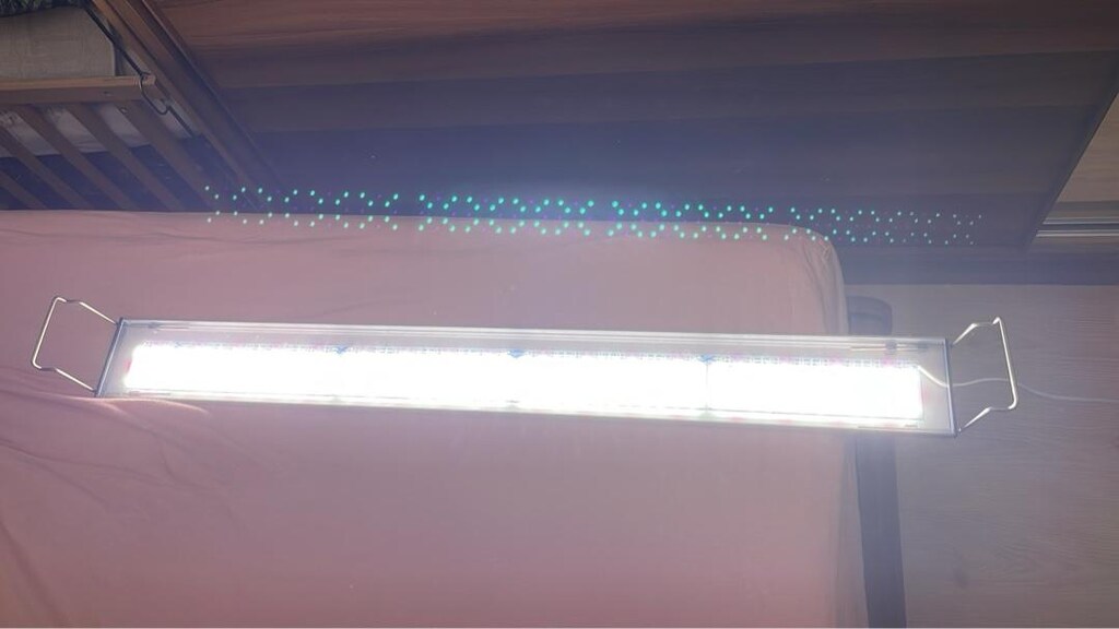 100 cm özel bitki armatürü - 2