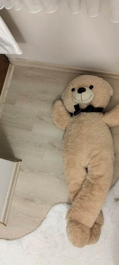 peluş ayı - 2