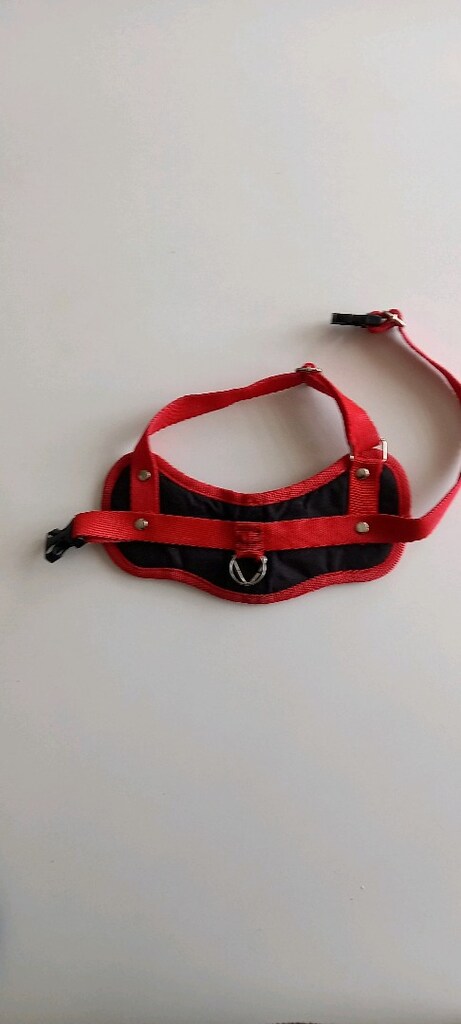 köpek göğüs tasması - 2