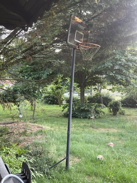 Basket potası