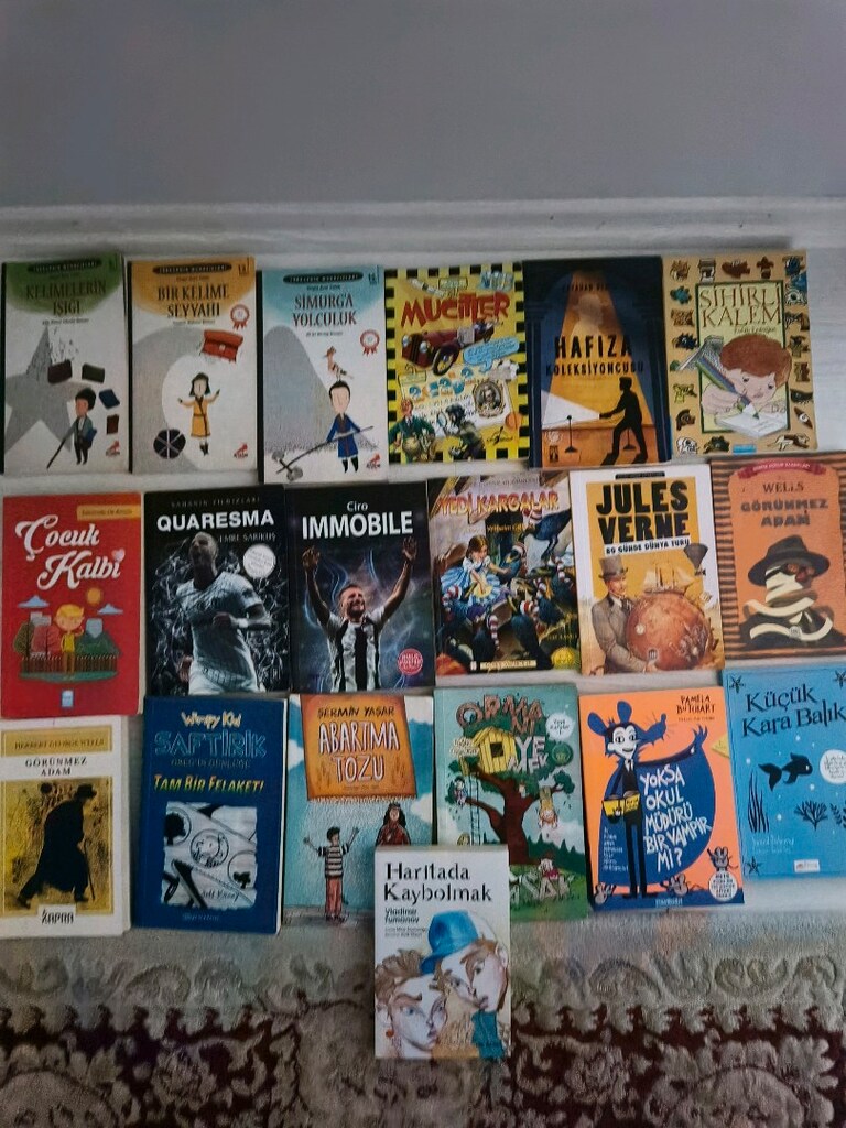 çocuk kitapları roman hikaye ilkokul ortaokul okuma kitapları - 2