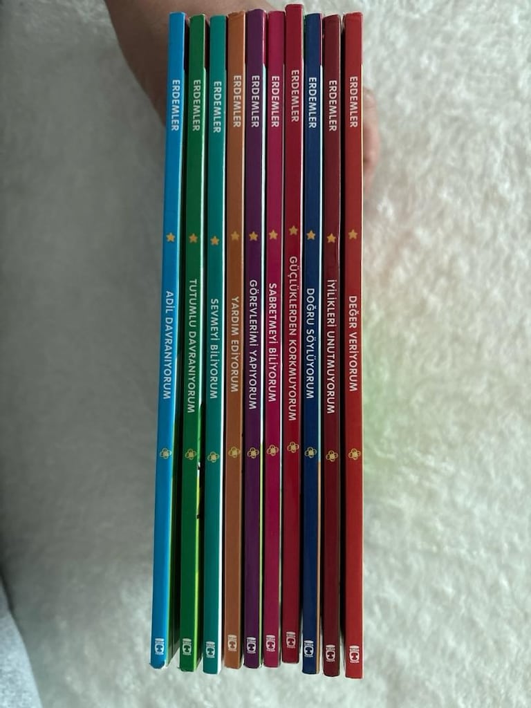 erdemler dizisi kitap - 2