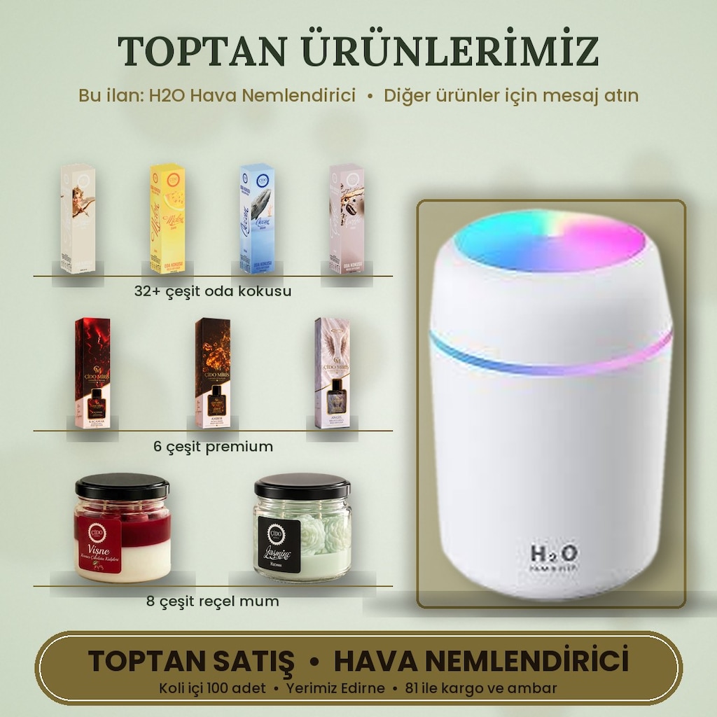 ÇİDO MİRİS RENKLİ IŞIKLI HAVA NEMLENDİRİCİ TOPTANCIDAN - 3