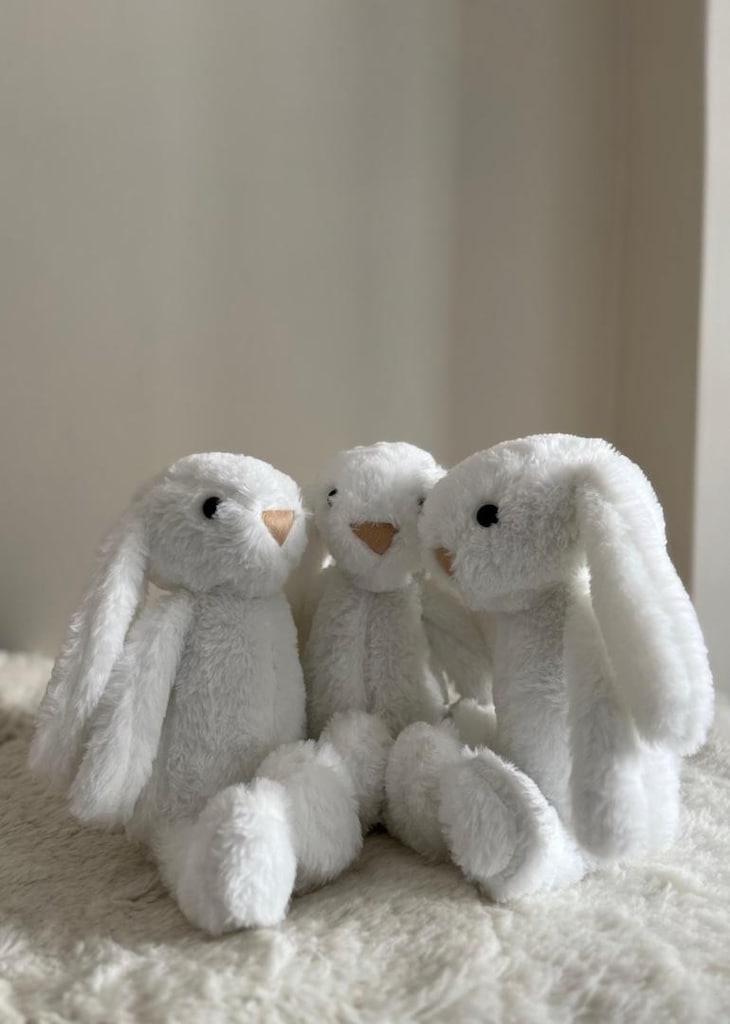PELUŞ TAVŞAN - 7