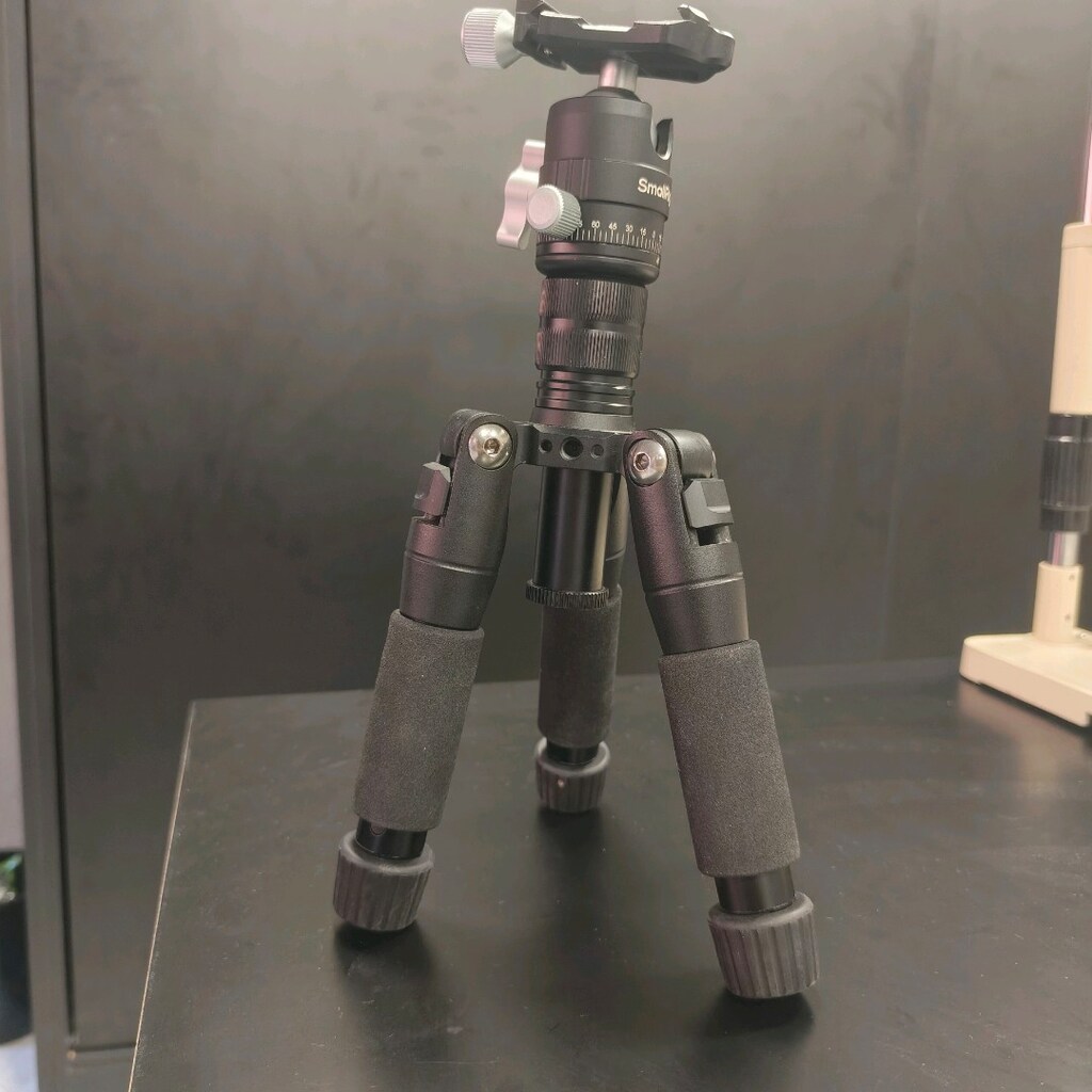 Nikon Z5II Body - Nikon 105mm - tripod - ışık - 14
