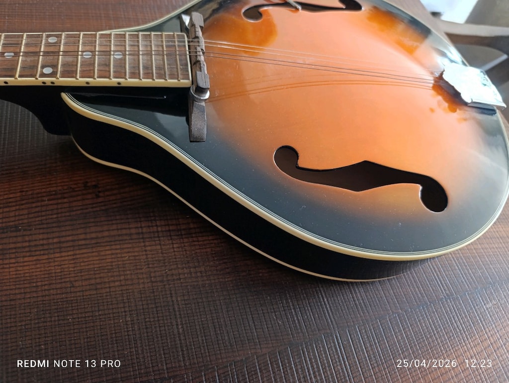 snowking mandolin - 3