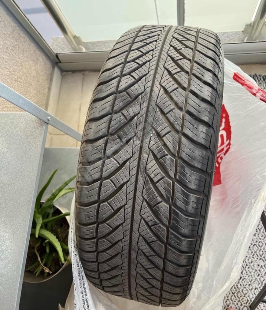 225 55 R17 kışlık lastik
