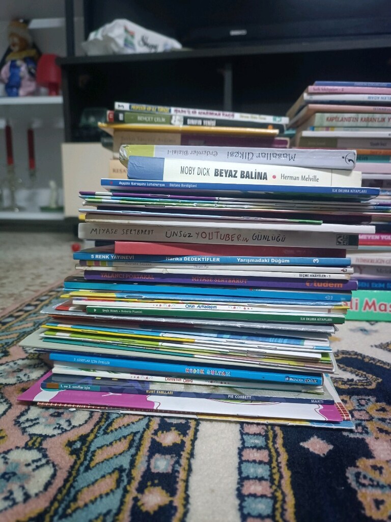 kitap 380 adet toplu olarak satılık - 8