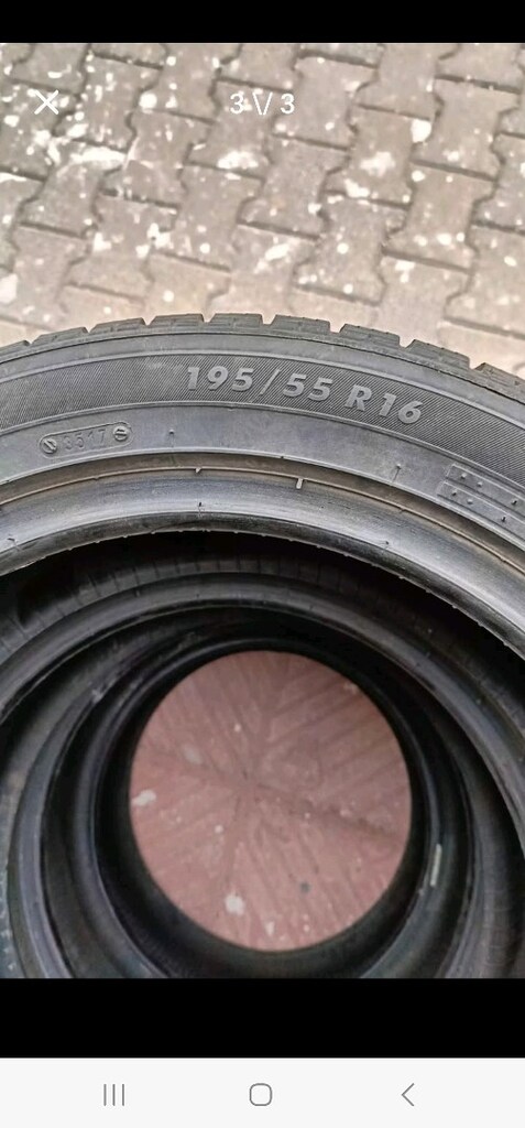 KIŞ LASTİGİ - 4