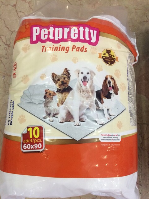 Çiş eğitim pedi