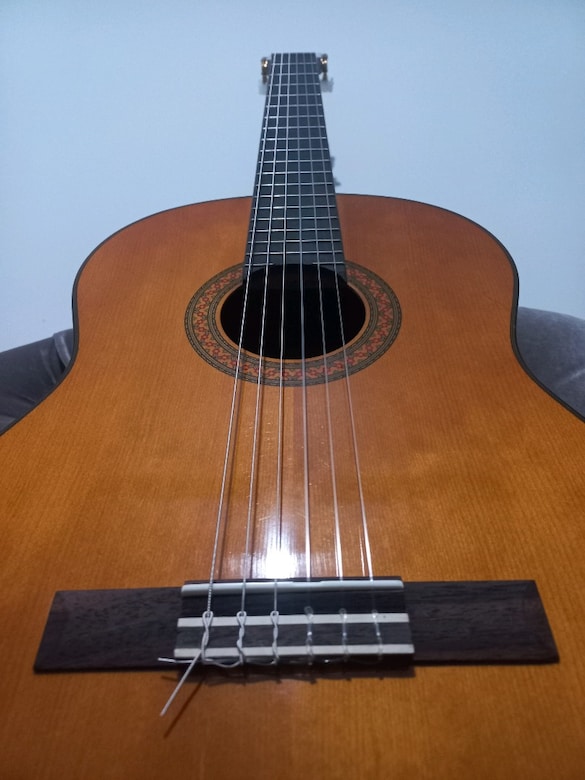 Yamaha Klasik Gitar - 6