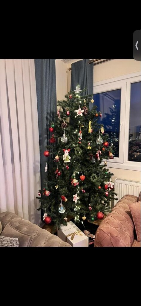yeni yıl ağacı yılbaşı ağacı çam ağacı - 3