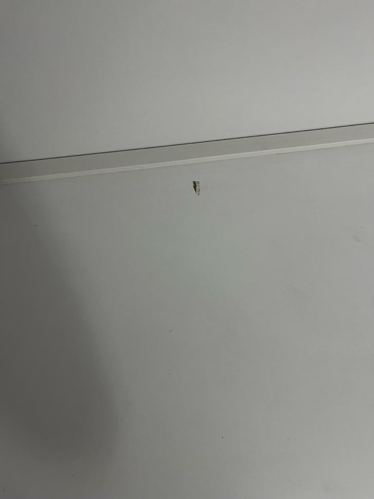 Multimo Academy Desk Katlanır Masalı Dolaplı Yatak - 6
