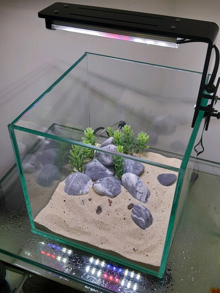nano akvaryum mini 20x20x20 clear - 9