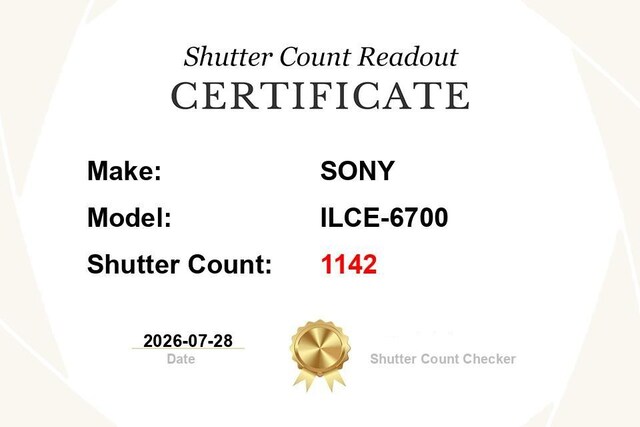 Sony a6700 Gövde - 20 Aya Yakın Sony Garanti - Yedek pil ve şarj cihaz