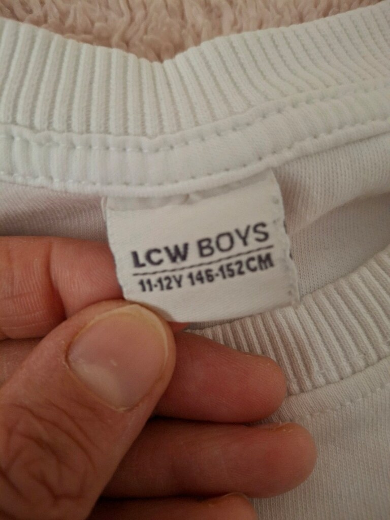LCW İKİKİ Erkek Çocuk Sveatshirt - 4