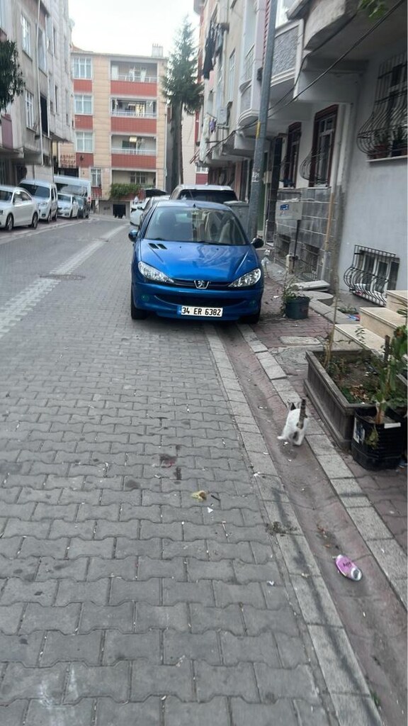 kaporta tertemiz motor yeni 206 - 3