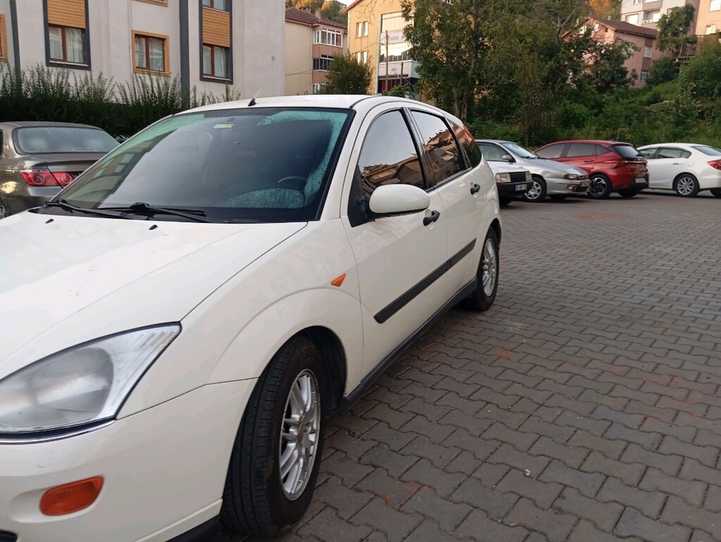 focus 1 ghia - 5