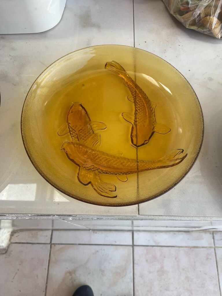 koi balığı antika tabaklar - 2