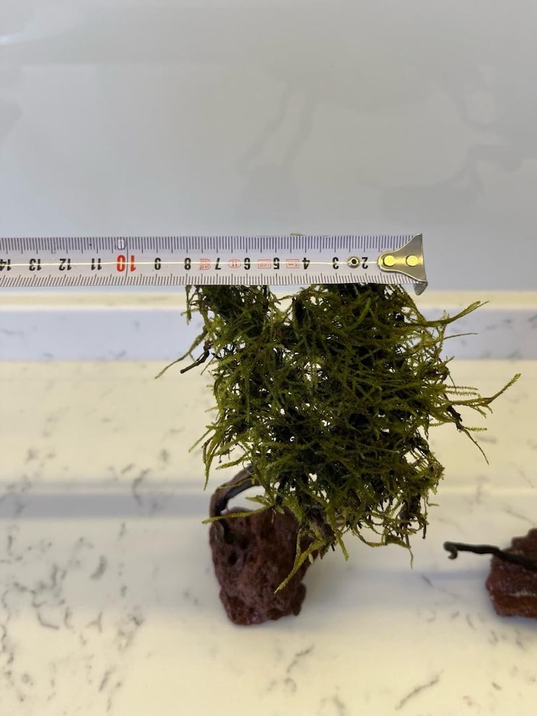 Akvaryum Christmas Moss Sarılı Ağaç Figür Dekor - 6