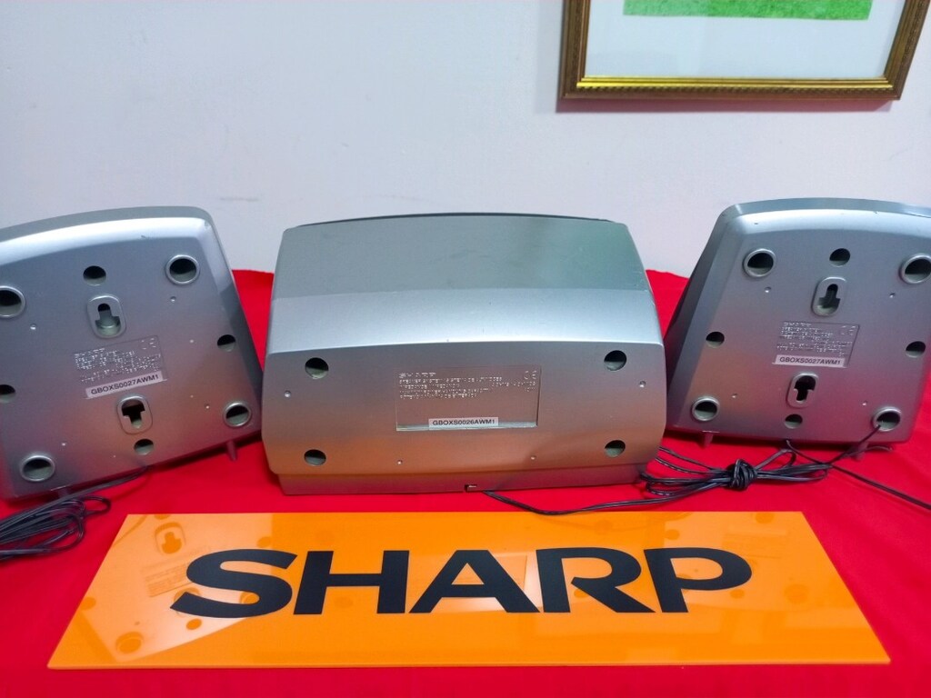SHARP SURROUND VE CENTER - 3
