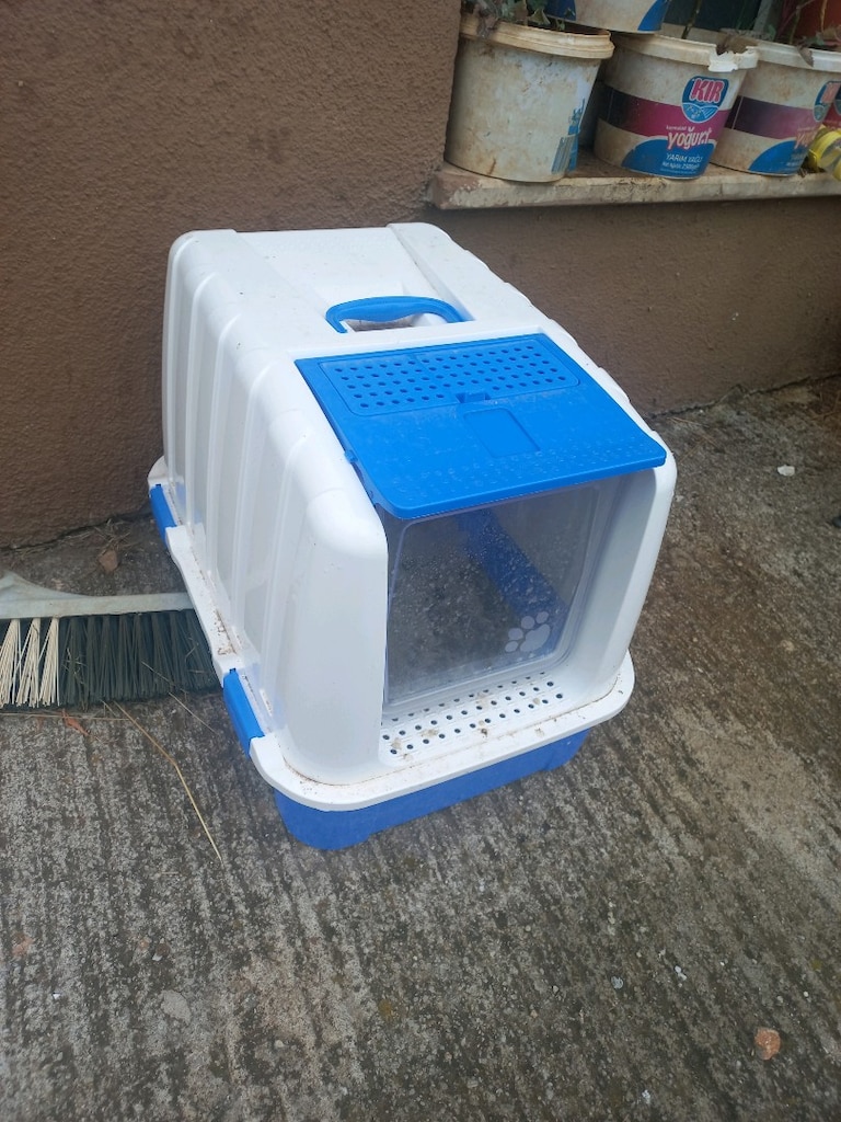 Kedi evi - 4