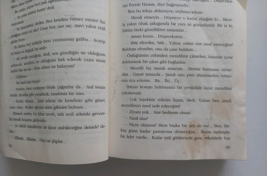 Reşat Nuri Güntekin - Çalıkuşu - 3
