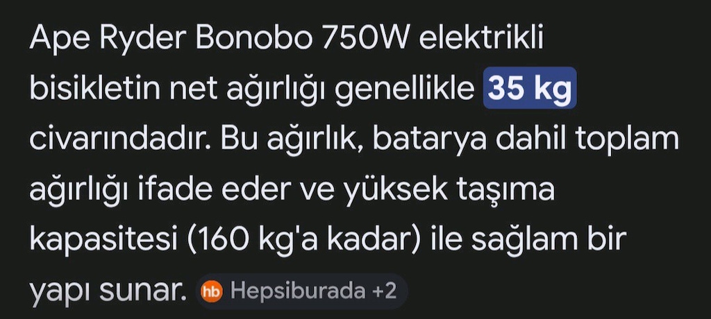 APE Ryder Bonobo (yurt dışı/off-road 750W versiyon Hidrolik disk fren - 7