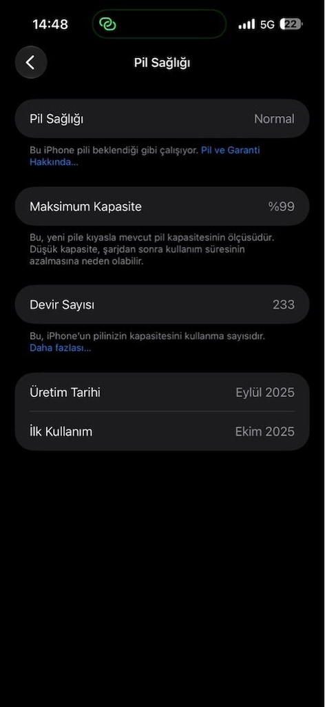 iphone 17 promax 256 silver hatasız yd cihazı 2 ay garantisi var - 9