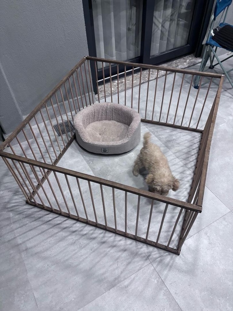 kedi köpek çiti - 2