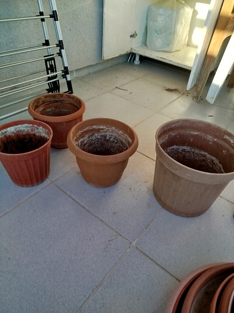 Farklı boyutlarda saksı ve tabaklar. Büyük boy 1 adet, orta boy 3 adet - 7