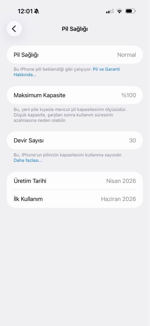 17 PRO MAX. 1 aylık