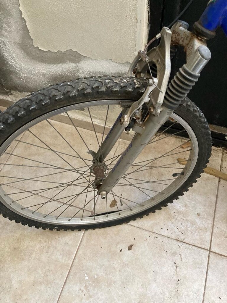Bianchi yetişkin bisiklet - 6
