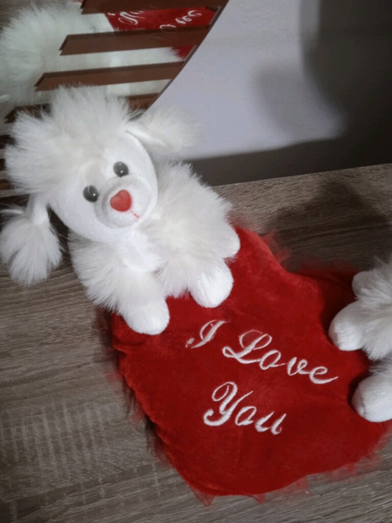 Peluş Oyuncak - 4