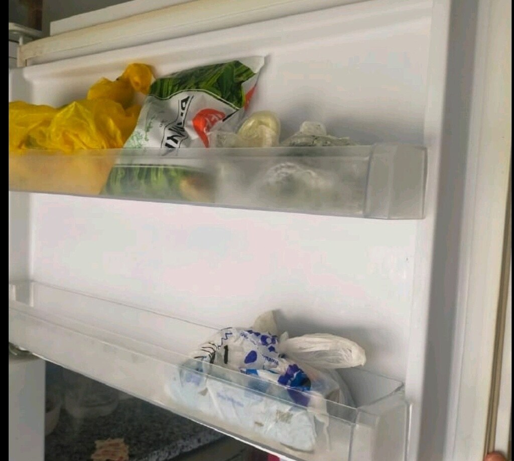 Sapasağlam buzdolabı geniş - 2