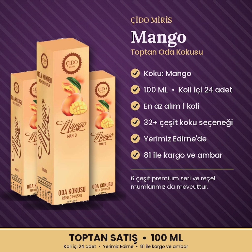 ODA KOKUSU 100ML MANGO ÇİDO MİRİS TOPTANCIDAN - 2