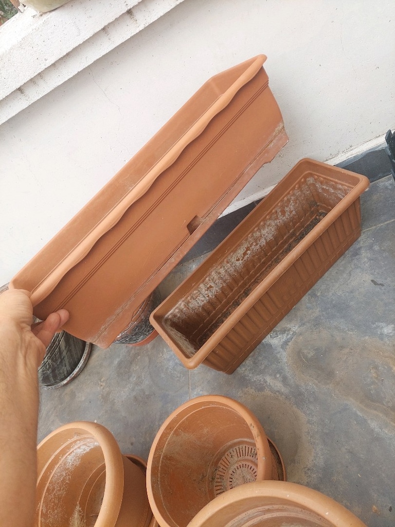 Çiçek saksı çeşitleri. Uygun fiyata veririm. - 4