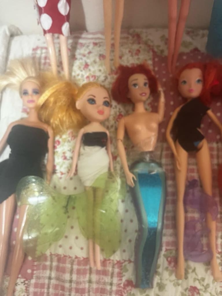Çeşitli Barbie ve Winx Oyuncak - 9