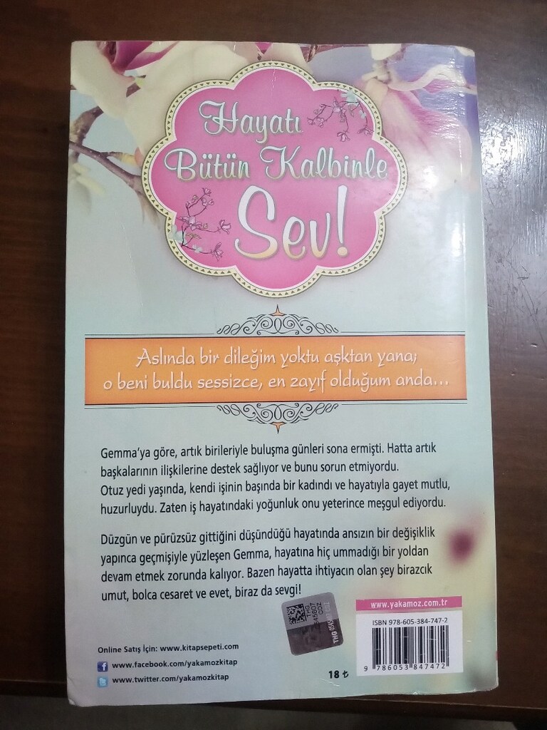 HAYATI BÜTÜN KALBİNLE SEV (BETH HARBİSON) - 2