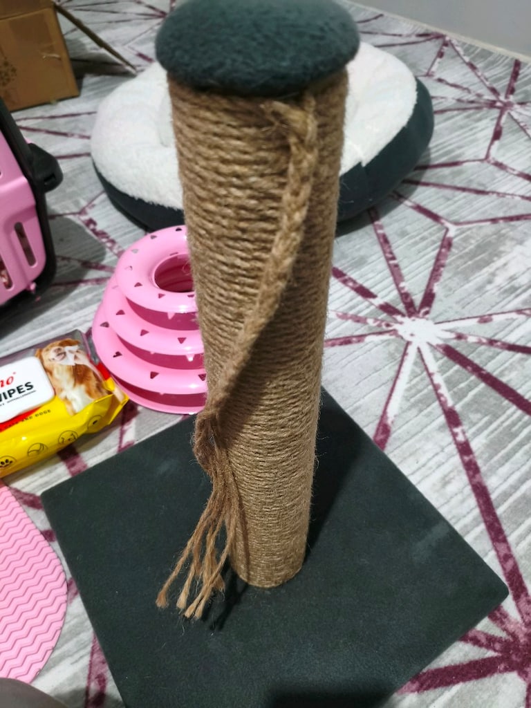 Kedi seti (2 hafta kullanıldı) - 3
