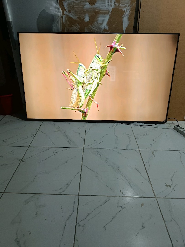 LG 165 ekran nanosel 4K ultra HD webos TV - 10