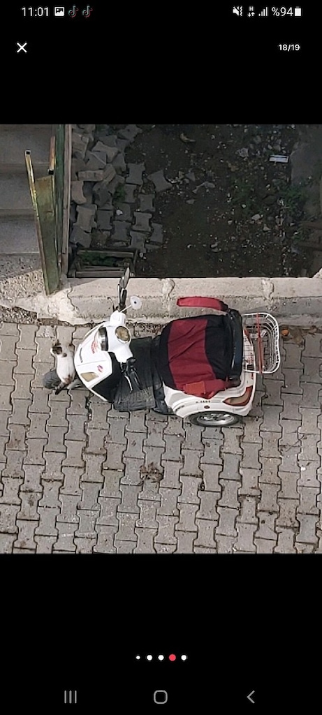 Temiz Kuba Elektrikli Motor - 18