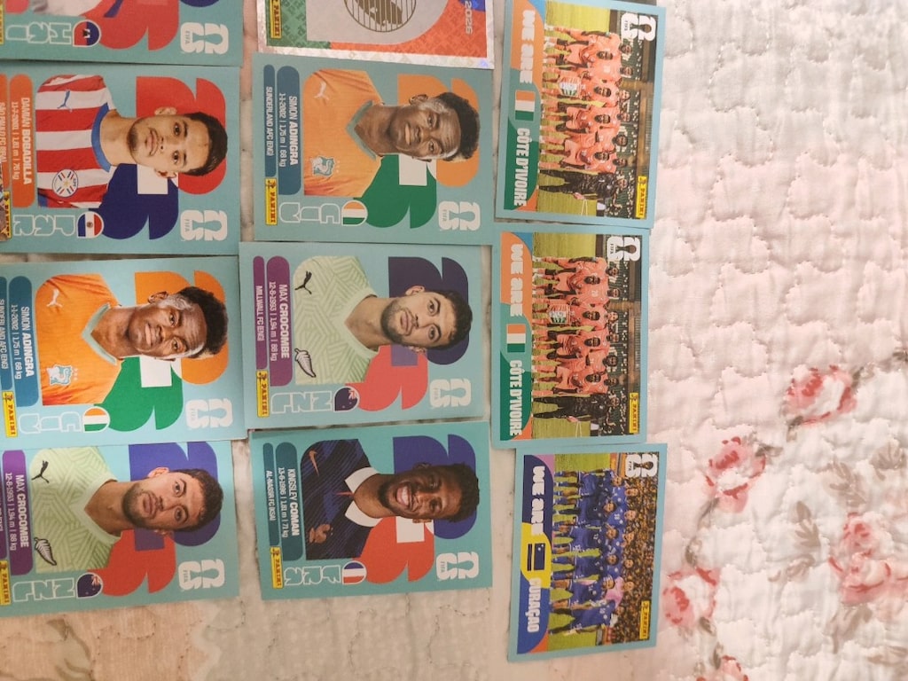 panini dk 2026 fazla etiket - 6