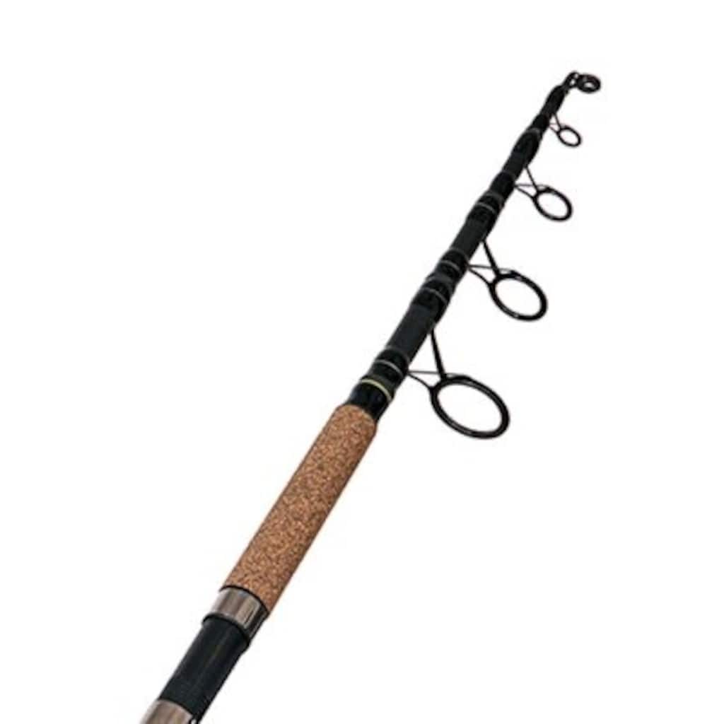 Albastar 360-390 cm 4 Lbs Ful Karbon Profesyonel Sazan Kamislari - 2