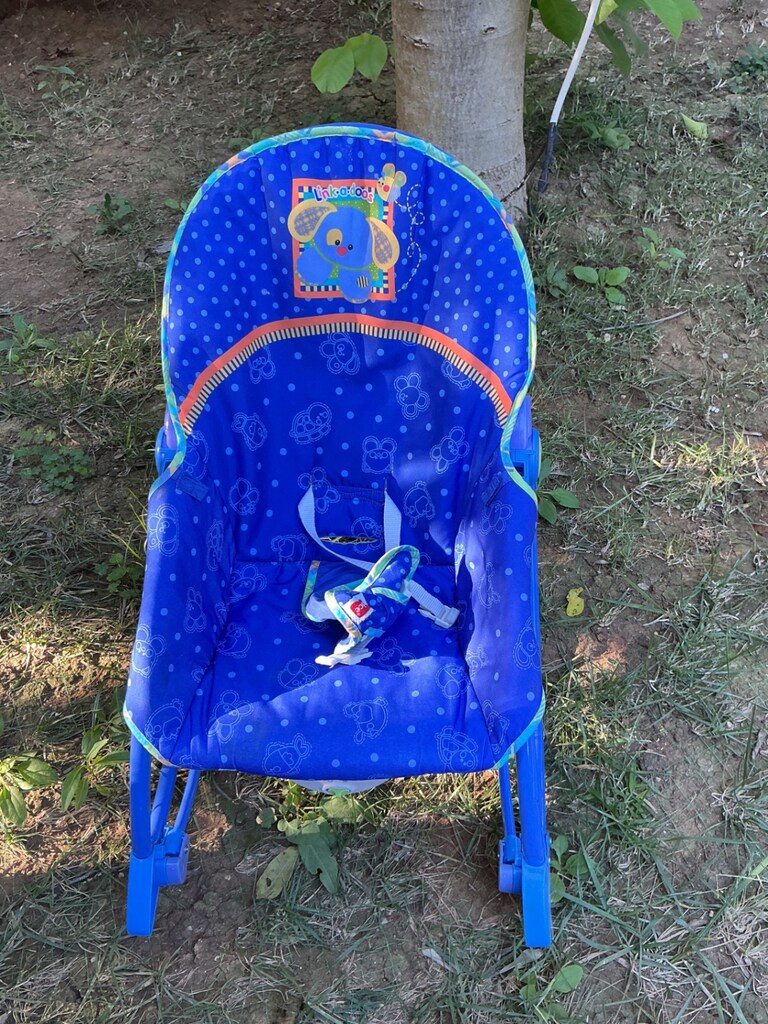Fisher Price Ana Kucağı - 6