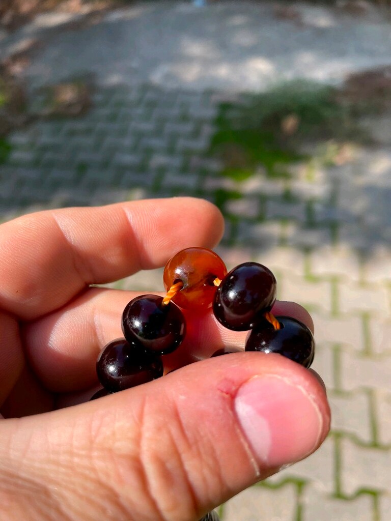 Eski Dönem Sıkma Kehribar - 10