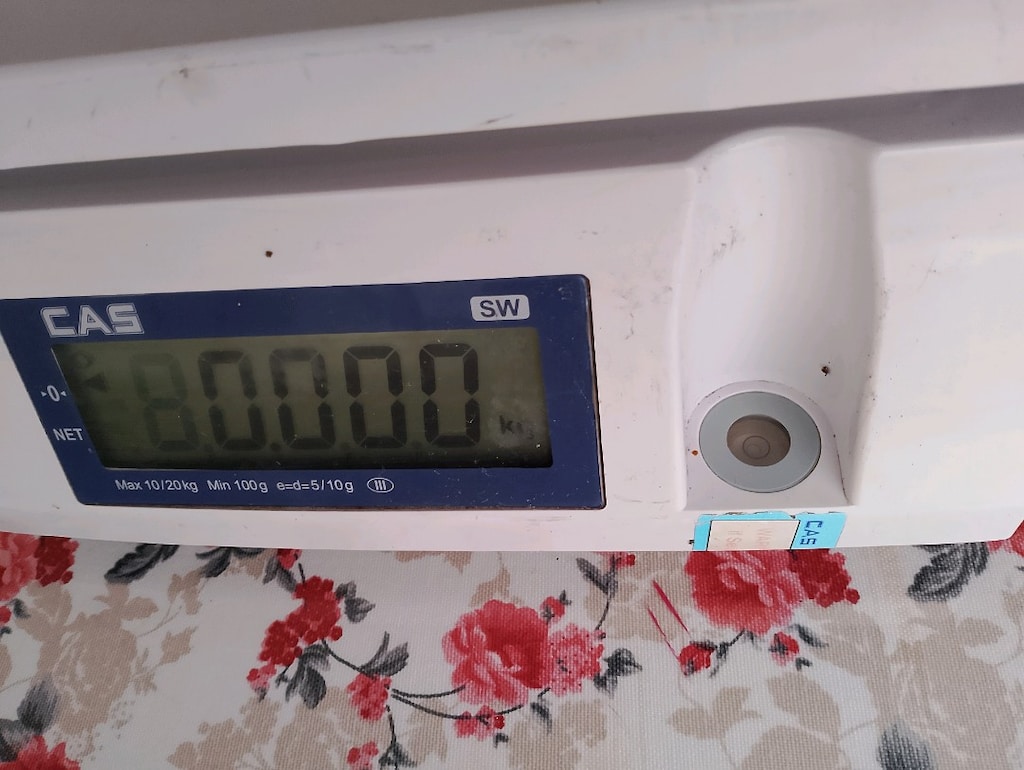 CAS HASSAS TERAZİ 20 KG - 4