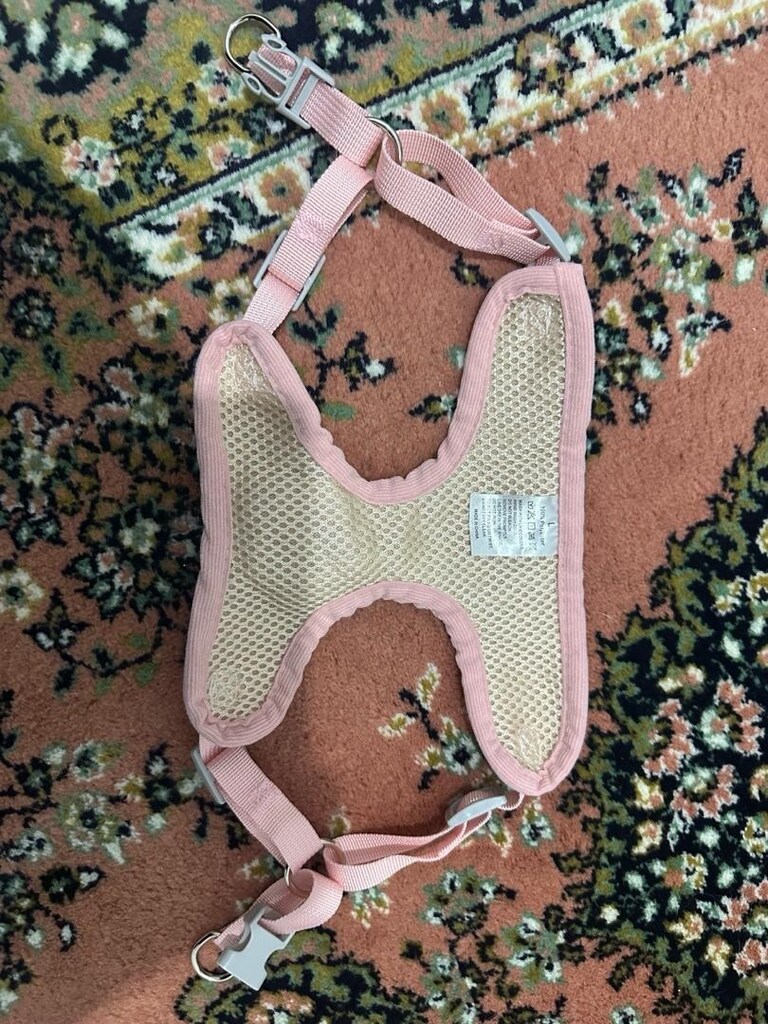 pet tasma-göğüslük - 2